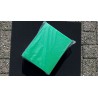 Filterspons Biotec 5.1 10.1 groen